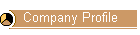 company profile