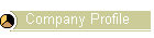 company profile